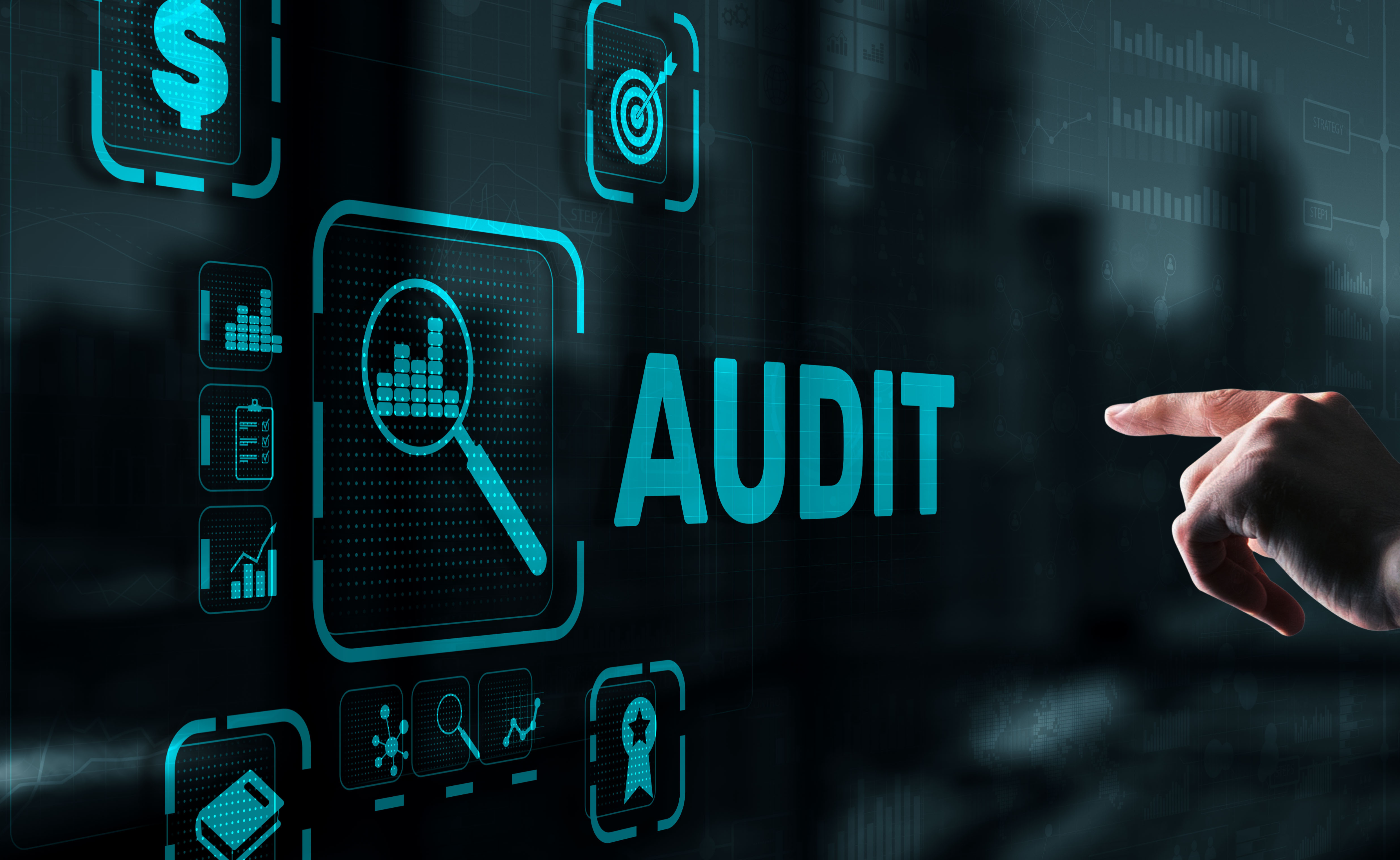 Audit Documents and Reporting
