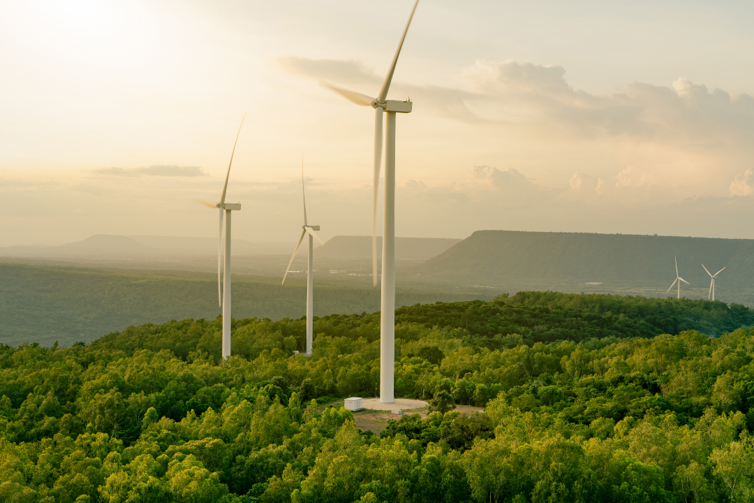 Sustainability Background